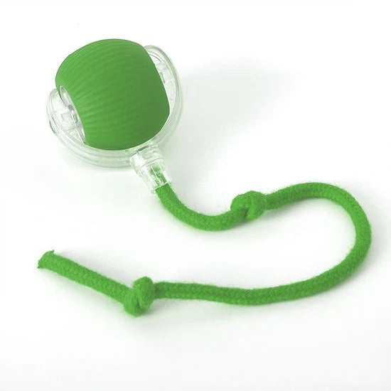 Rope Tug Chew Toy for Dogs