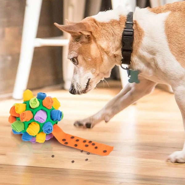 Snuffle Ball Enrichment Toy for Dogs