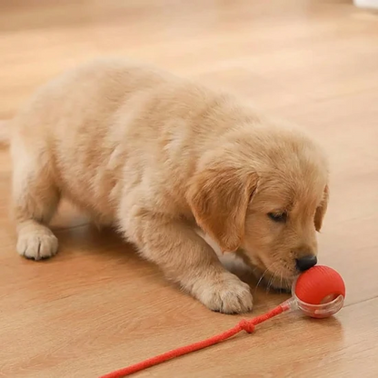 Rope Tug Chew Toy for Dogs